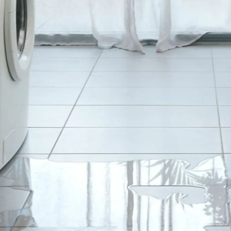 Appliance Leak Cleanup in Garden Ridge, TX