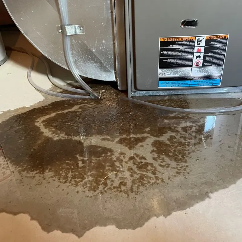 Pipe Burst and Leak Restoration in Garden Ridge, TX