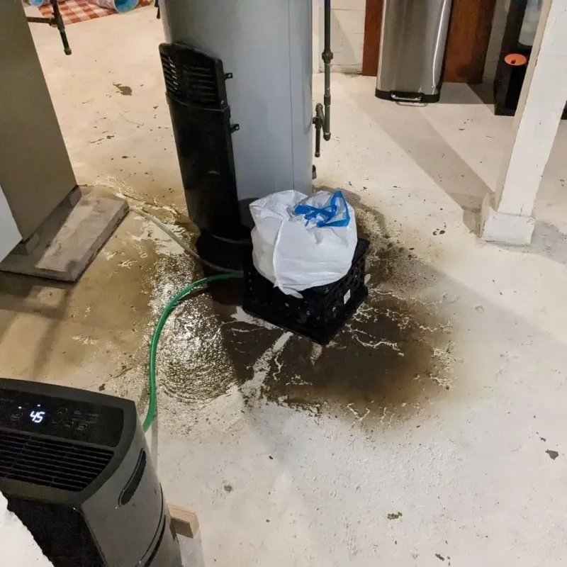 Sewage Backup Cleanup Service in Garden Ridge, TX
